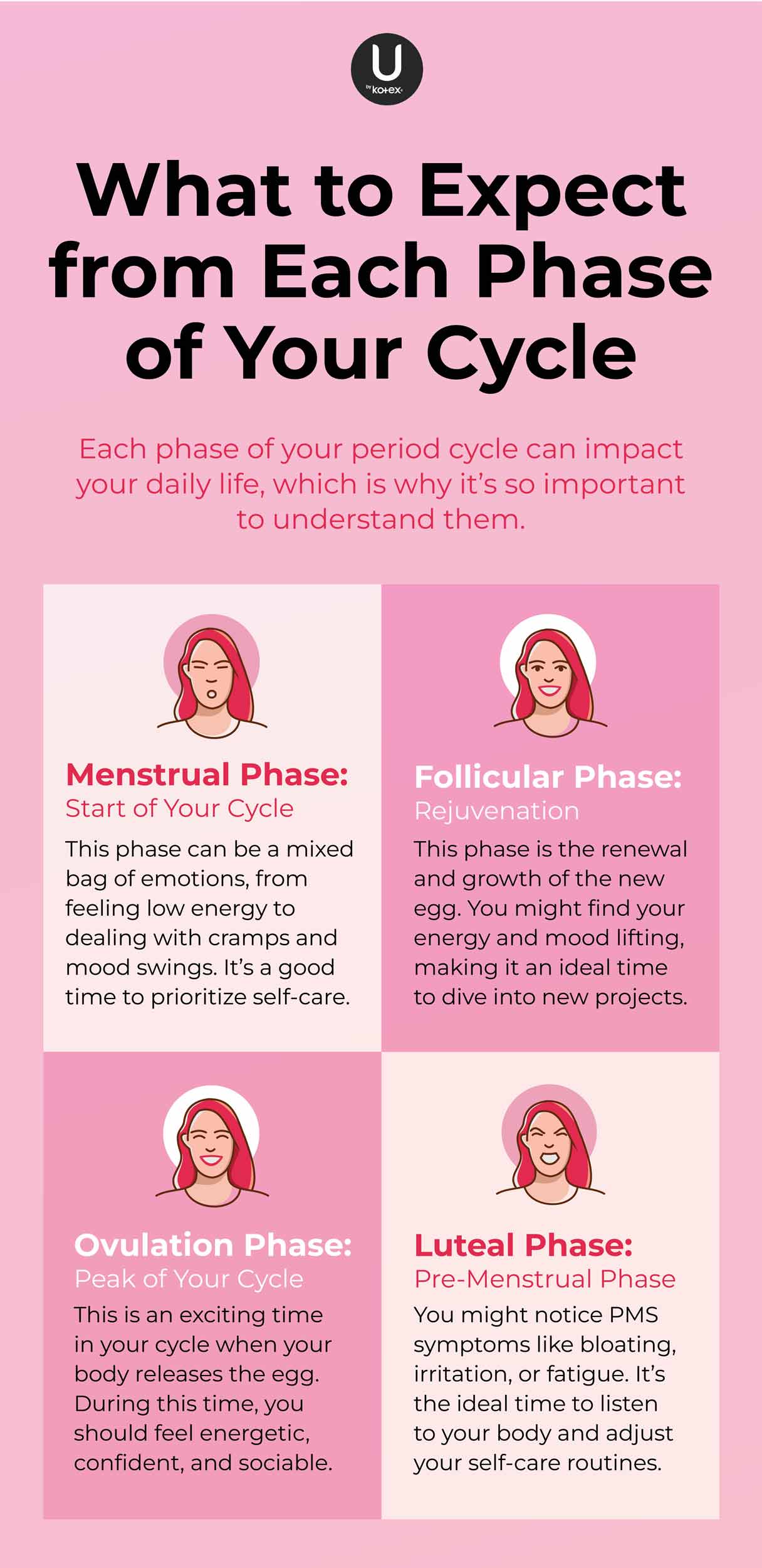 Menstrual cycle phase infographic